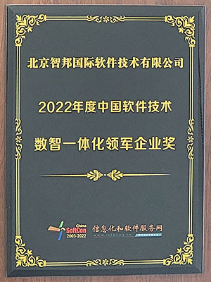 中国软件数智一体化领军企业